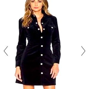 Alexa Chung For Ag curdory shirt dress